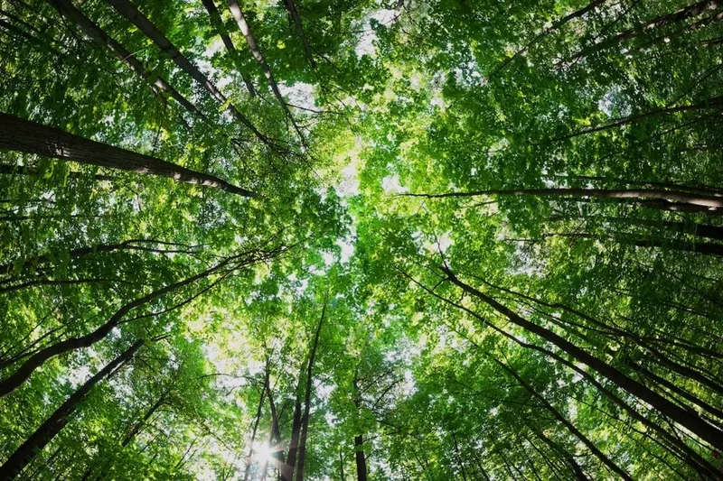 Environmental Resources Management