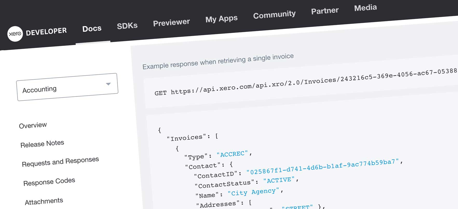 Screenshot of Xero API documentation